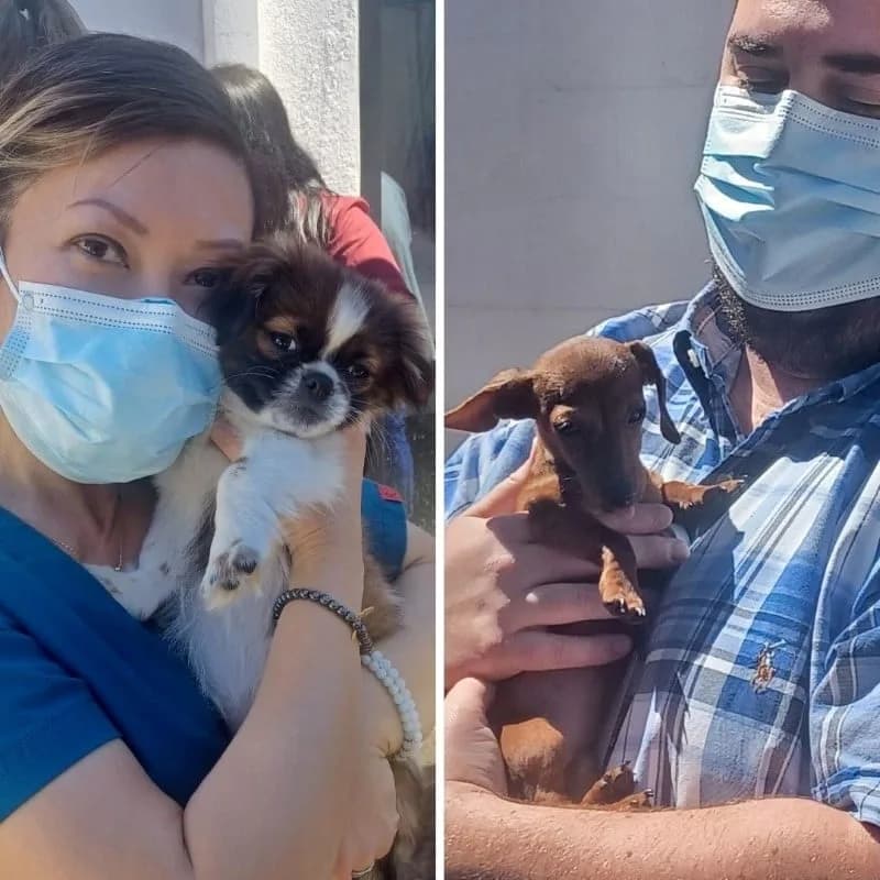 LA Community Hospital Staff Receive Pet Therapy